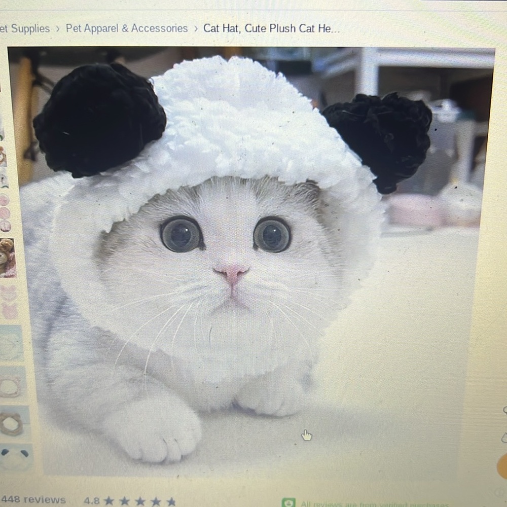 Plush pet hat